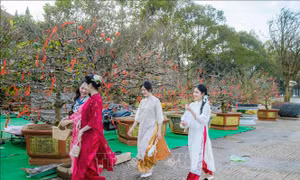 Thời tiết ngày 29/1 (mùng 1 Tết): Thuận lợi để du Xuân, chúc Tết