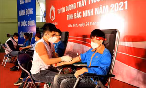 Gần 1.000 đoàn viên, thanh niên tham gia chương trình Chủ nhật đỏ tại Bắc Ninh