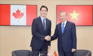 Tổng Bí thư, Chủ tịch nước Tô Lâm gặp các Thủ tướng Canada và Bỉ