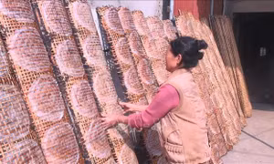 Làng nghề làm bánh đa nem Thiệu Châu nhộn nhịp vào vụ Tết