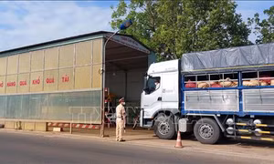 Xử phạt hơn 30 tỷ đồng liên quan vi phạm tải trọng xe