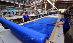 Chuyên gia Nhật Bản tin tưởng CPTPP sẽ thúc đẩy tăng trưởng của Việt Nam
