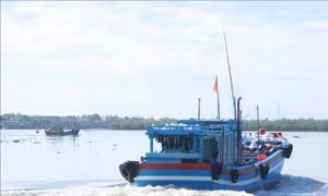 Giá dầu giảm liên tục, ngư dân Quảng Trị phấn khởi vươn khơi bám biển