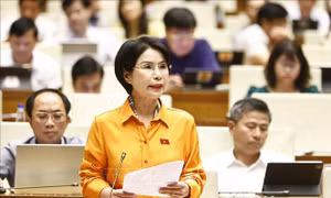 Kiến nghị về chính sách thúc đẩy hộ kinh doanh thành doanh nghiệp
