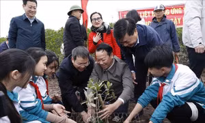 Chung tay bảo vệ, phát triển rừng, bảo tồn thiên nhiên và đa dạng sinh học