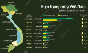 Hiện trạng rừng Việt Nam