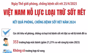 Việt Nam nỗ lực loại trừ sốt rét