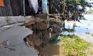 Xuất hiện hai đoạn sạt lở dài 50m tại huyện Chợ Mới, An Giang