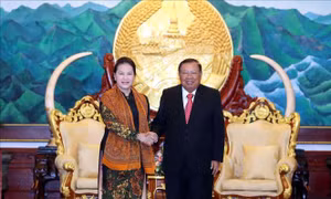 Chủ tịch Quốc hội Nguyễn Thị Kim Ngân hội kiến Tổng Bí thư, Chủ tịch nước Lào