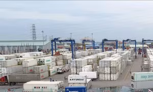 Thủ tướng chỉ thị tăng cường quản lý hoạt động nhập khẩu phế liệu