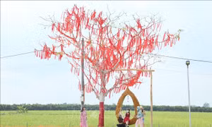 'Phố ông Lang' - Điểm du lịch sinh thái độc đáo, miễn phí cho du khách