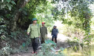 Bẫy ảnh giữa đại ngàn