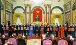Triển khai tốt công tác ngoại giao kinh tế, ngoại giao văn hóa, nâng tầm đối ngoại đa phương