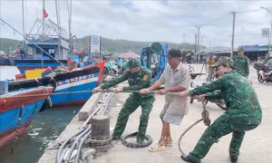 Quảng Ngãi chủ động ứng phó bão số 13 từ sớm để giảm thiệt hại