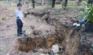 Lai Châu: Xuất hiện vết nứt, sụt lún tại Bản du lịch cộng đồng Sin Suối Hồ