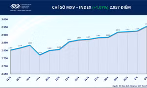 Lực mua áp đảo, MXV-Index bật tăng lên 2.957 điểm