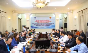 Thúc đẩy quan hệ hợp tác trong lĩnh vực lao động giữa Việt Nam và Hoa Kỳ