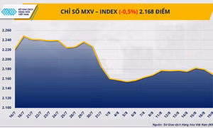 Áp lực bán áp đảo, MXV-Index nối dài đà suy yếu sang phiên thứ hai