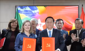 Thúc đẩy quan hệ Việt Nam - Brazil phát triển lên tầm cao mới