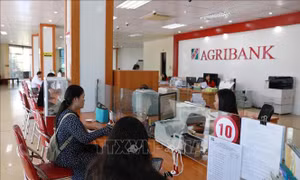 Loạt ngân hàng tung gói tín dụng ưu đãi, tiếp sức doanh nghiệp nhỏ và vừa