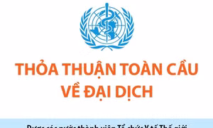 Thỏa thuận toàn cầu về đại dịch