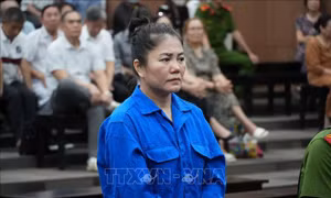 Cựu Chủ tịch Tập đoàn Mỹ Hạnh hầu tòa do lừa đảo góp vốn trồng sâm Ngọc Linh