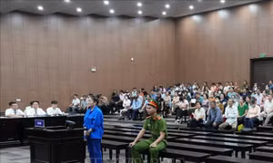 Điều tra bổ sung vụ lừa đảo hàng trăm tỷ đồng góp vốn trồng sâm Ngọc Linh