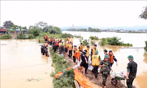Thái Nguyên: Khẩn trương khắc phục vỡ đê bối sông Cầu