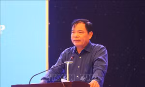 Dồn lực khôi phục sản xuất nông nghiệp sau bão lũ ở miền Trung
