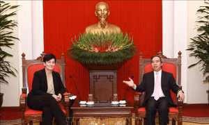 Trưởng ban Kinh tế Trung ương tiếp Giám đốc điều hành IFC và Giám đốc ADB