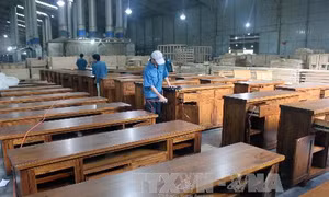 Thiếu nguyên liệu, doanh nghiệp chế biến gỗ 'lao đao'