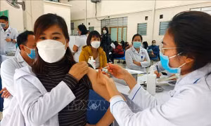 Quảng Ninh sẵn sàng ứng phó với tình huống dịch COVID-19 đạt đỉnh vào ngày 25/1