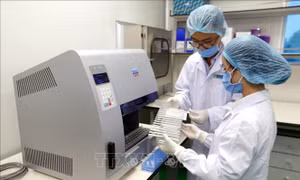 Đầu tư dài hạn cho nghiên cứu cơ bản xuất sắc để làm chủ công nghệ chiến lược