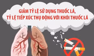 Giảm tỷ lệ sử dụng thuốc lá, tỷ lệ tiếp xúc thụ động với khói thuốc lá