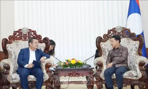 Việt Nam và Lào đẩy mạnh triển khai dự án hợp tác chiến lược