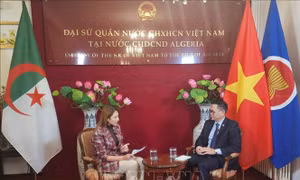 Quan hệ Việt Nam - Algeria còn rất nhiều dư địa để phát triển         