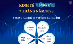 Kinh tế Việt Nam 7 tháng năm 2023