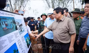 Thủ tướng yêu cầu phát động chiến dịch thần tốc xây sửa nhà cho người dân bị thiệt hại do mưa lũ