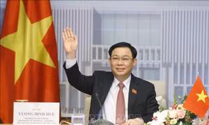 Chủ tịch Quốc hội Vương Đình Huệ hội đàm trực tuyến với Chủ tịch Quốc hội Hungary