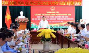 Người dân vùng dự án điện hạt nhân tin tưởng chủ trương của Đảng 