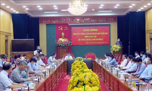 Đoàn Đại sứ, Trưởng các Cơ quan đại diện Việt Nam ở nước ngoài làm việc tại Thái Nguyên