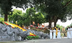 Diễn giải thêm nguồn tư liệu nhằm phục dựng Chính điện Kính Thiên
