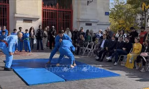 Vovinam - Việt Võ Đạo trở thành 'sứ giả văn hóa' tại châu Âu