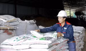 Chiến lược an ninh lương thực trong bối cảnh xung đột - Bài 4: Tính đường dài để chống chịu tốt hơn