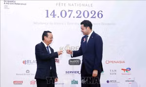 Thành phố Hồ Chí Minh thúc đẩy hợp tác hiệu quả, thiết thực với đối tác Pháp 
