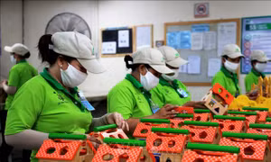 Thị trường lao động tiếp tục chuyển biến tích cực