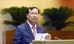Tạo khung pháp lý cho việc tổ chức hoạt động phòng không nhân dân