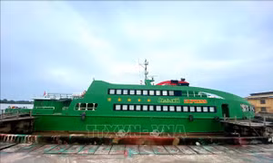 Sẽ cưỡng chế kê biên tài sản tàu cao tốc Mailinh Express vào ngày 23/9