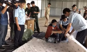 Nhiều doanh nghiệp lợi dụng 'luồng xanh' để trốn thuế