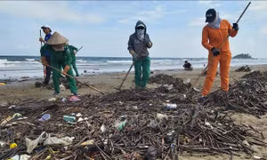 Nỗ lực giảm thiểu rác thải nhựa trên biển: Bài cuối - Hướng đến không rác thải nhựa đại dương
